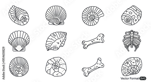 Collection of Fossil Illustrations: Shells, Ammonites, Bones and Ribcage