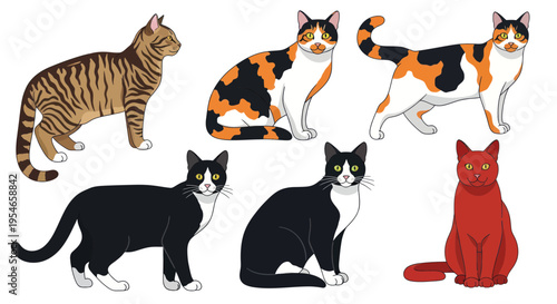 Diverse Cat Breeds Collection - Stylized Illustrations