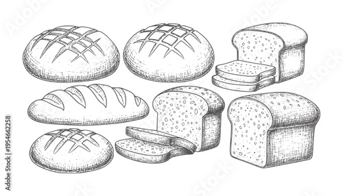 Hand drawn of various bread loaves and slices loaf vintage bakery