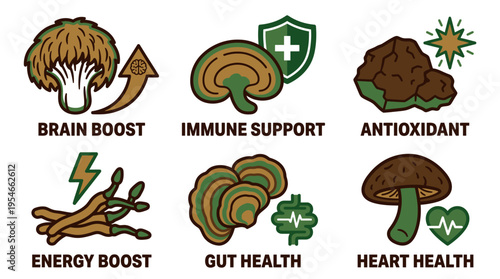 Medicinal mushroom health benefits icons set for wellness infographic