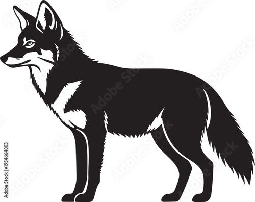 Vector black and white wolf illustration