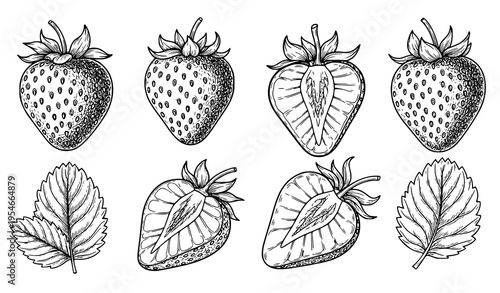 Strawberry Line Art Icon Set Featuring Whole and Cut Berries with Leaves, Hand Drawn Botanical Fruit Illustration Collection for Fresh Food Packaging Design
