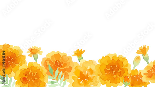 Watercolor-style vibrant marigold flowers, orange and yellow botanical illustration　水彩　マリーゴールド