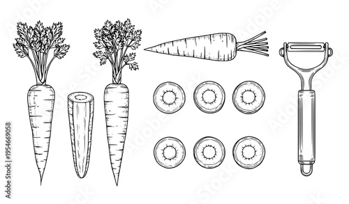 Carrot Preparation and Cooking Process Icon Set with Whole Vegetables, Peeled Carrot, Slices, and Kitchen Peeler Tool for Food Design and Healthy Recipes