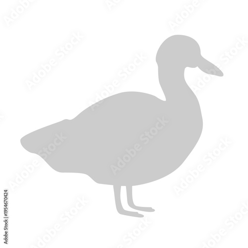 Grey goose silhouette standing. Farm animal and waterfowl nature concept vector illustration.