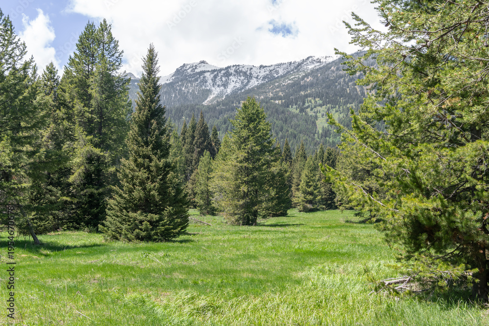 Fototapeta premium Countryside and Woodland from the Taggart Lake Trail in Southern Grand Teton National Park, Wyoming, USA