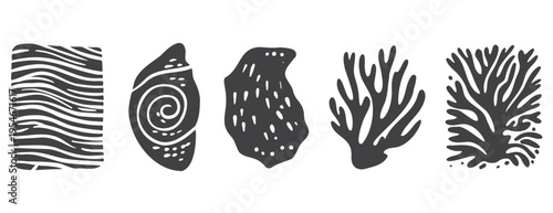 Seashell and coral collection: vector linocut set of marine shells, spiral conch and ocean waves. Monochrome hand-drawn illustration with abstract organic shapes isolated on white background