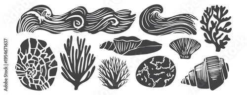 Marine wave and seashell vector set in linocut style with coral elements. Engraved ocean illustration with textured lines, isolated on white. Nautical clipart for coastal design, logo, print, branding