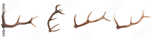 Fotografía Collection of natural deer antlers in various orientations, isolated on a transparent background for versatile design