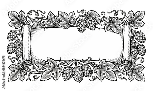 Elegant hop vine frame with wide banner. Engraved botanical illustration for brewery use.