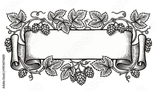 Decorative hop branches with scroll banner in engraving style. Perfect for craft beer packaging design.