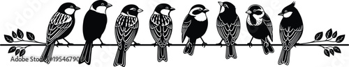 Black bird silhouette set with detailed sparrow and swallow on leafy branch for nature wildlife spring season garden vector design