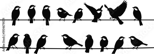 Black bird silhouette set with sparrow and swallow on wire for nature wildlife spring season and music staff design vector