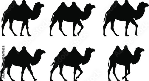 Black camel silhouette collection set isolated on white background for desert nature design, wild animal, Bactrian and exotic safari illustration.