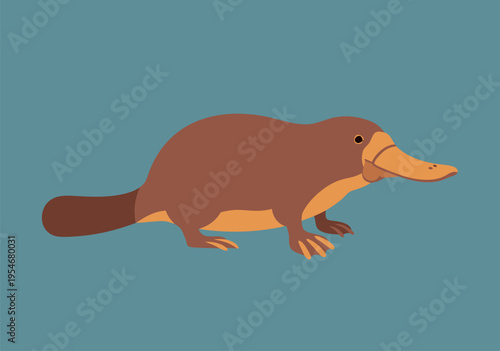 A charming vector illustration of a cute platypus in profile, showcasing its unique features against a serene blue background