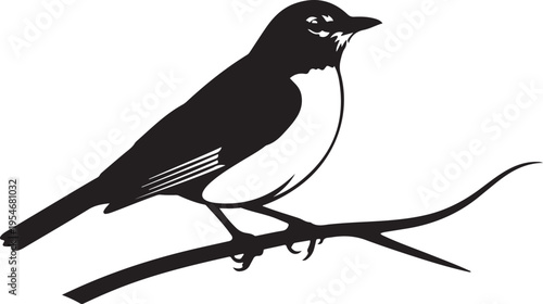 Black bird silhouette on branch vector