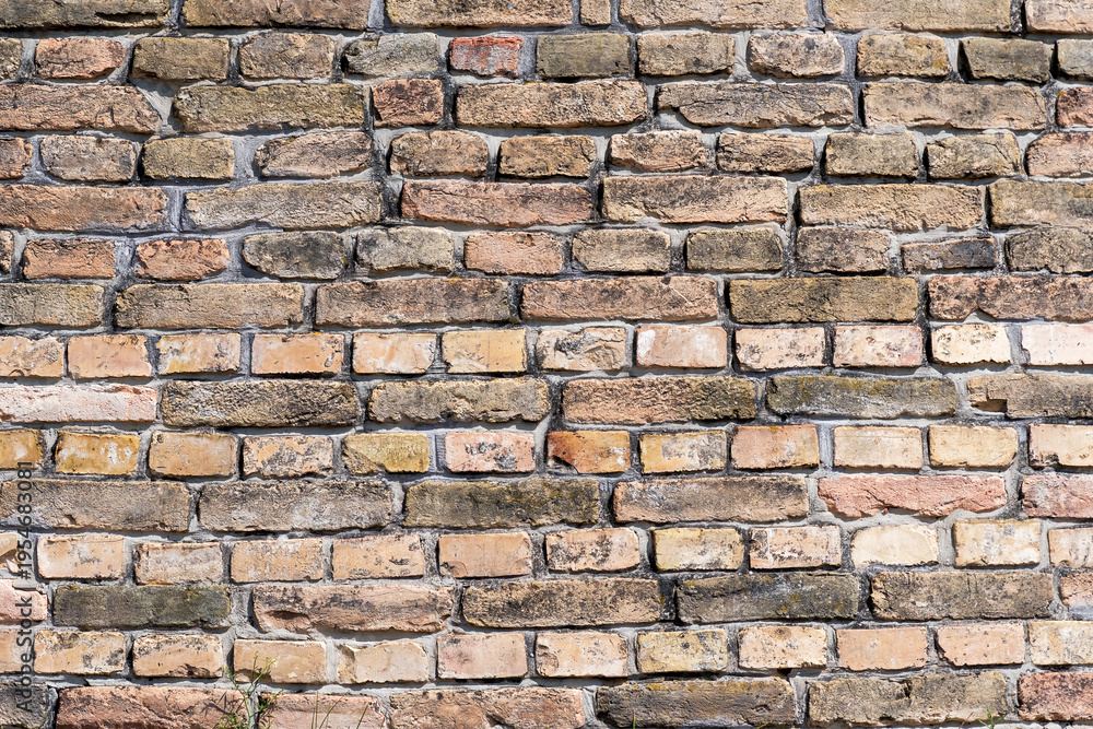 Fototapeta premium A timeless, weathered brick wall texture, showcasing rustic charm and durable masonry