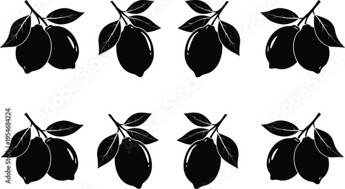 Lemon fruit silhouette set, black citrus lime icons, organic food elements, fresh lemonade vector, branch with leaves graphics, icons.
