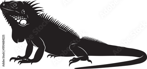 Black iguana vector illustration