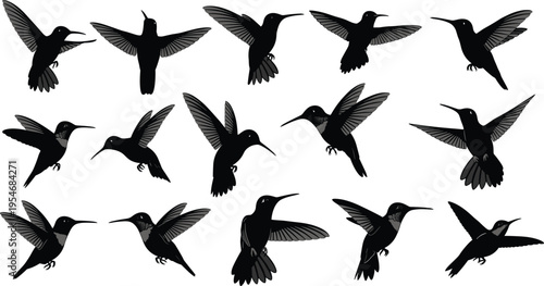 Hummingbird silhouette set, black flying bird icons, small exotic avian elements, tropical nature wildlife graphics, hovering bird vector, decorative shapes.