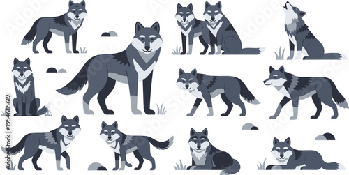 Wolf pack collection with wild animals in different poses flat vector illustration set