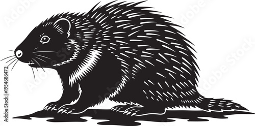 Vector porcupine illustration, black and white animal design
