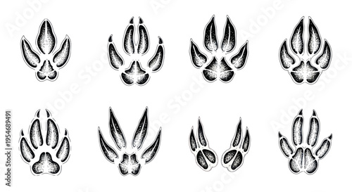 Set of Animal Paw Prints Vector Illustrations