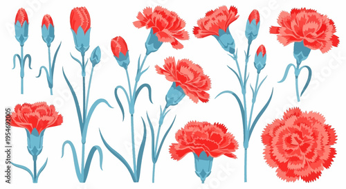Εκτύπωση καμβά Red Carnation Flower Illustration Set with Buds and Stems Isolated on White Back
