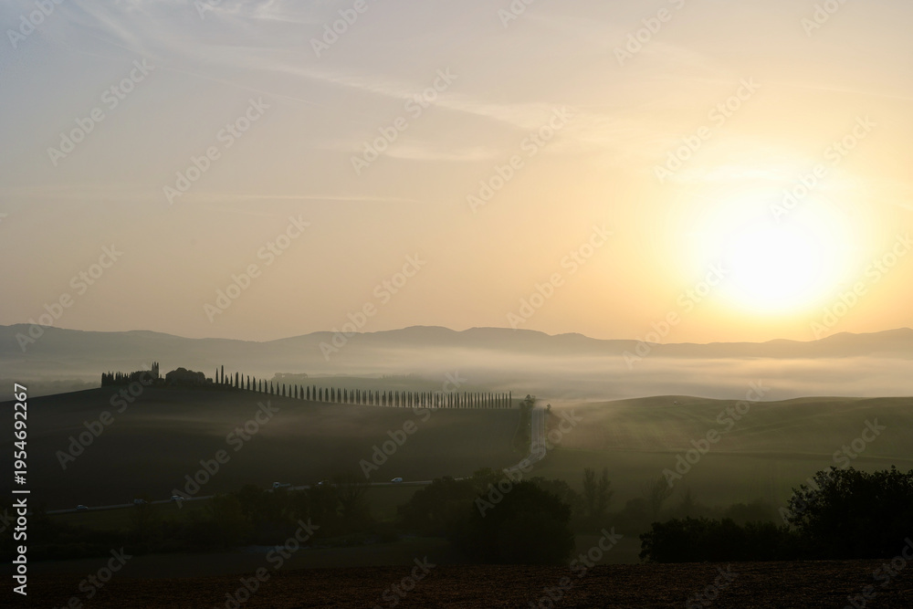 Fototapeta premium Autumn Sunrise over Cypress Road in the Province of Siena, Tuscany, Italy