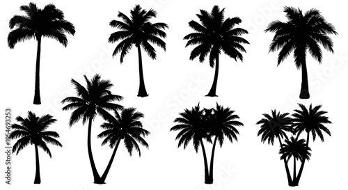 A collection of various palm tree silhouettes featuring different sizes and groupings for design