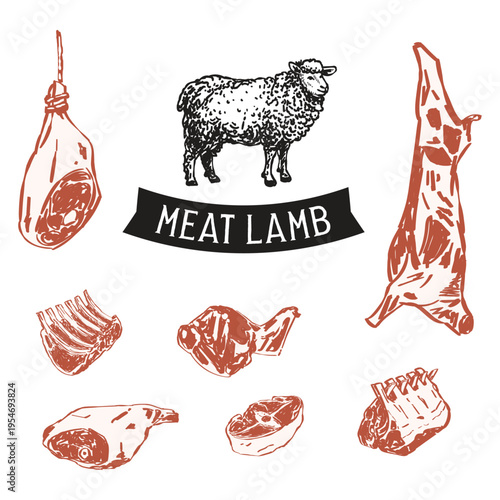 Hand-drawn lamb meat cuts collection featuring ribs, shank, and carcass. Vintage butchery sketches perfect for organic farm menus, meat shop branding, and rustic culinary packaging design.