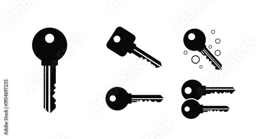 Diverse set of black silhouettes shows various types of door keys in different sizes and orientations for security and access themes.
