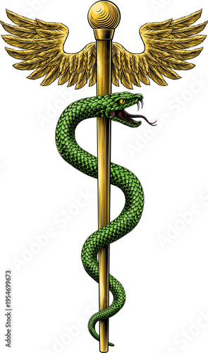 Rod of Asclepius staff medi...