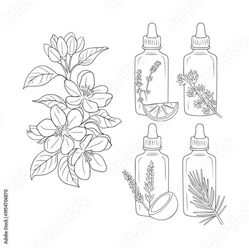 Black and white line of apple blossoms and dropper bottles with herbs and citrus