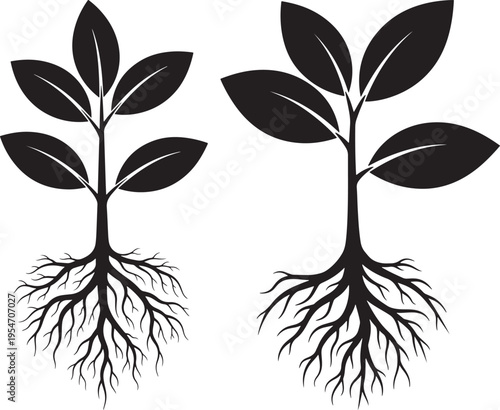 Two black silhouette plants with roots and leaves on a white background, symbolizing growth and nature, New Life