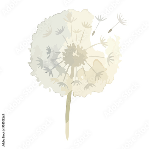 Watercolor-style lovely dandelion flowers and fluff, spring botanical illustration, yellow and white　水彩　たんぽぽ