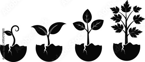 Vector illustration of plant growth stages featuring seed germination, sprout development, leaf expansion, biology process, and environmental science icons.