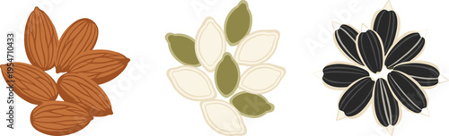 Vector illustration set of seeds featuring almonds, pumpkin, and sunflower designs, botanical food elements, agriculture, and nutrition icons.