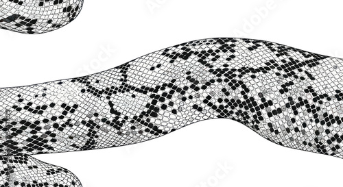 Close-up of a patterned snake body on a white background