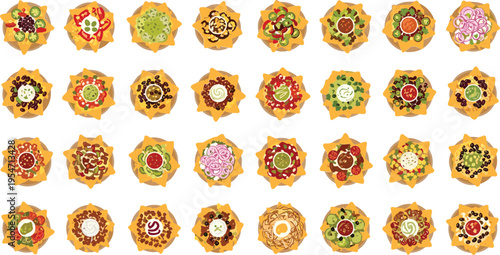 Variety of nachos with different toppings arranged in rows on white background