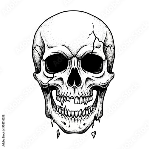 Cracked Human Skull Illustration, Scary Face, White Background