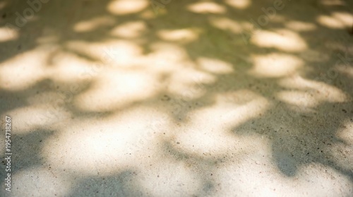 Soft Tree Shadows and Dappled Sunlight on Ground Background