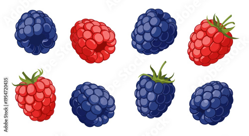 Fresh Raspberries and Blackberries isolated on white background, healthy food