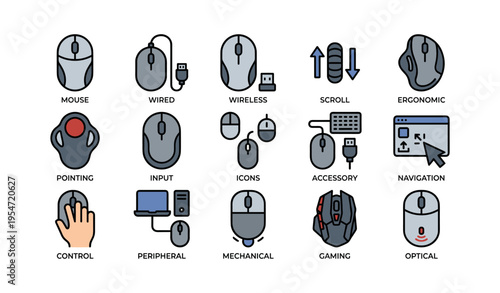 Various computer mouse types and functions illustrated