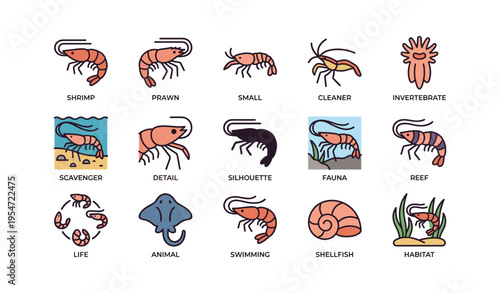 Shrimp and marine life icons featuring prawns, shellfish, and aquatic habitats