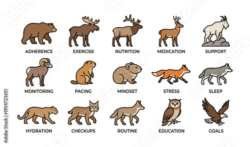 Animal icons representing health and wellness concepts