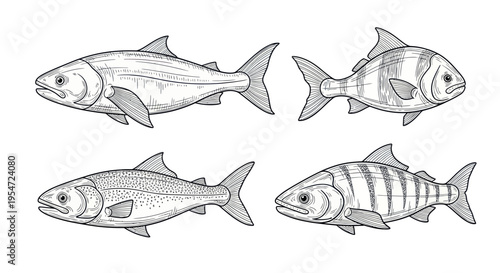 Vintage Hand-Drawn Fish Collection - Seafood, Fishing, Aquatic Life Illustrations