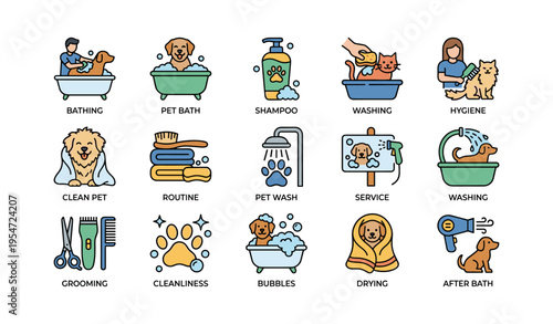 Pet grooming process with dogs and cats in baths and haircare routines