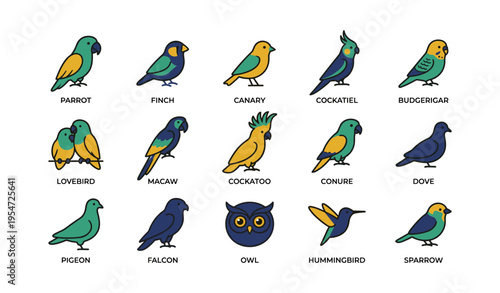 Collection of colorful bird illustrations: parrot, finch, canary, owl, hummingbird
