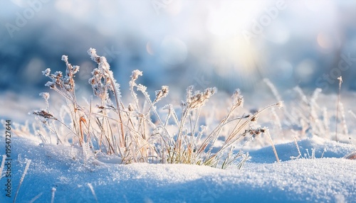 Beautiful Gentle Winter Landscape Frozen Grass On Snowy Natural Background Winter Background With Flowers Covered Snow Crystals Glittering In Sunlight Defocused Winter Landscape